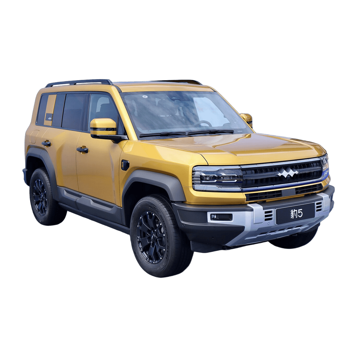 BYD Leopard 5 car tyre replacement